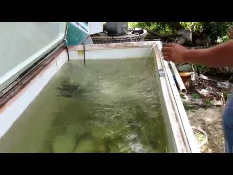 DIY LIVE BAIT TANK FOR KAYAK FISHING | How To Make &amp; Do Everything!