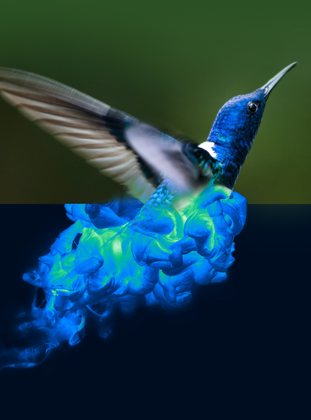 Flying colors. Fabulous edits.