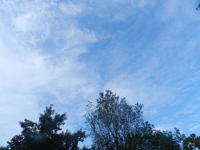 skywfDSCN6050