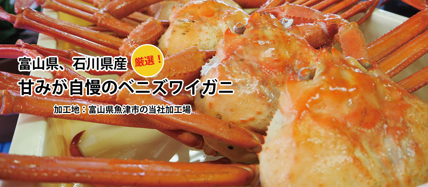 未冷凍 ボイル済 紅ズワイガニ通販 お取り寄せのハリタ冷蔵