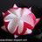 TaGa_Luto's Foods I made photoset