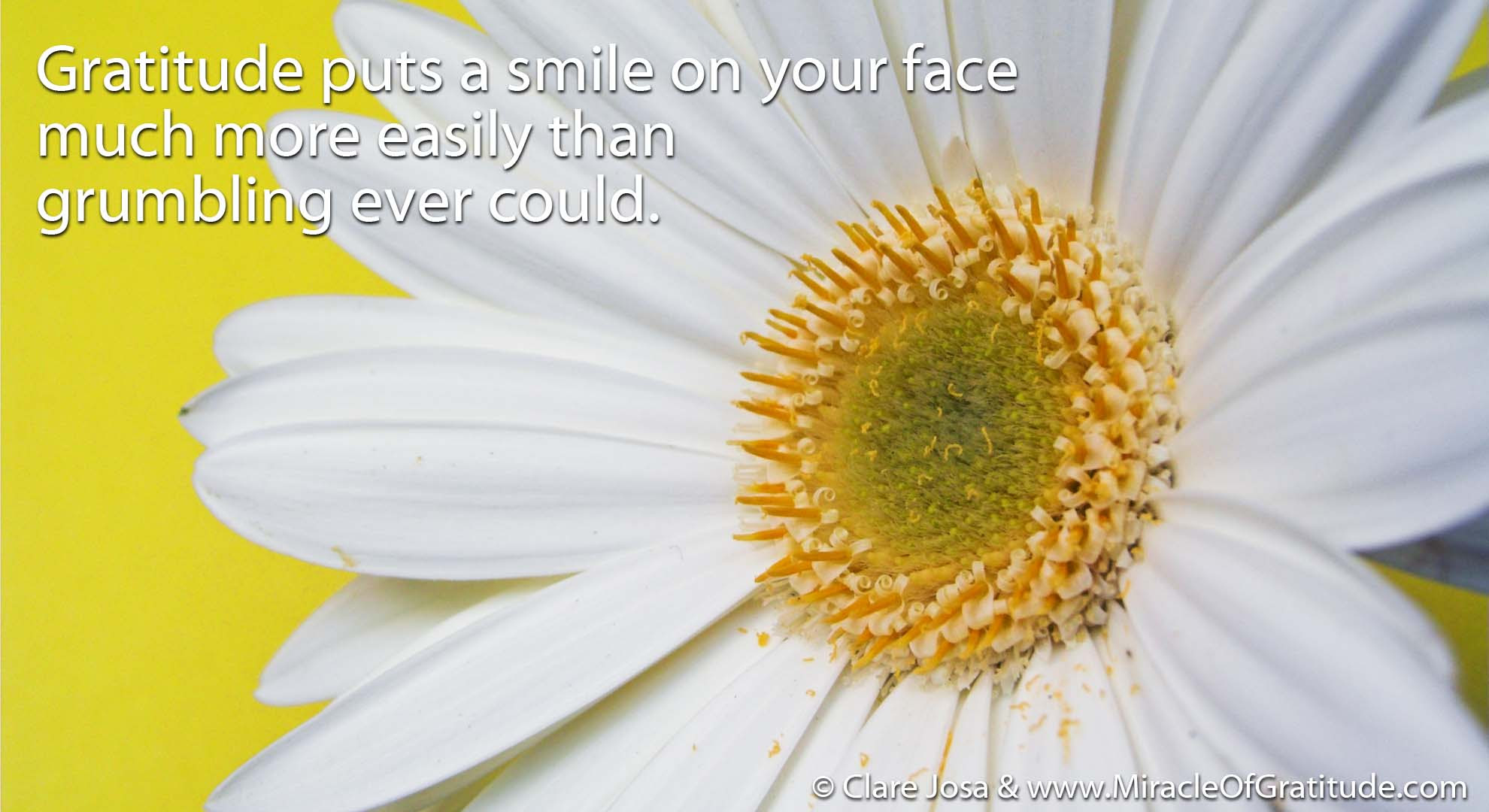 Gratitude Wallpapers - Wallpaper Cave