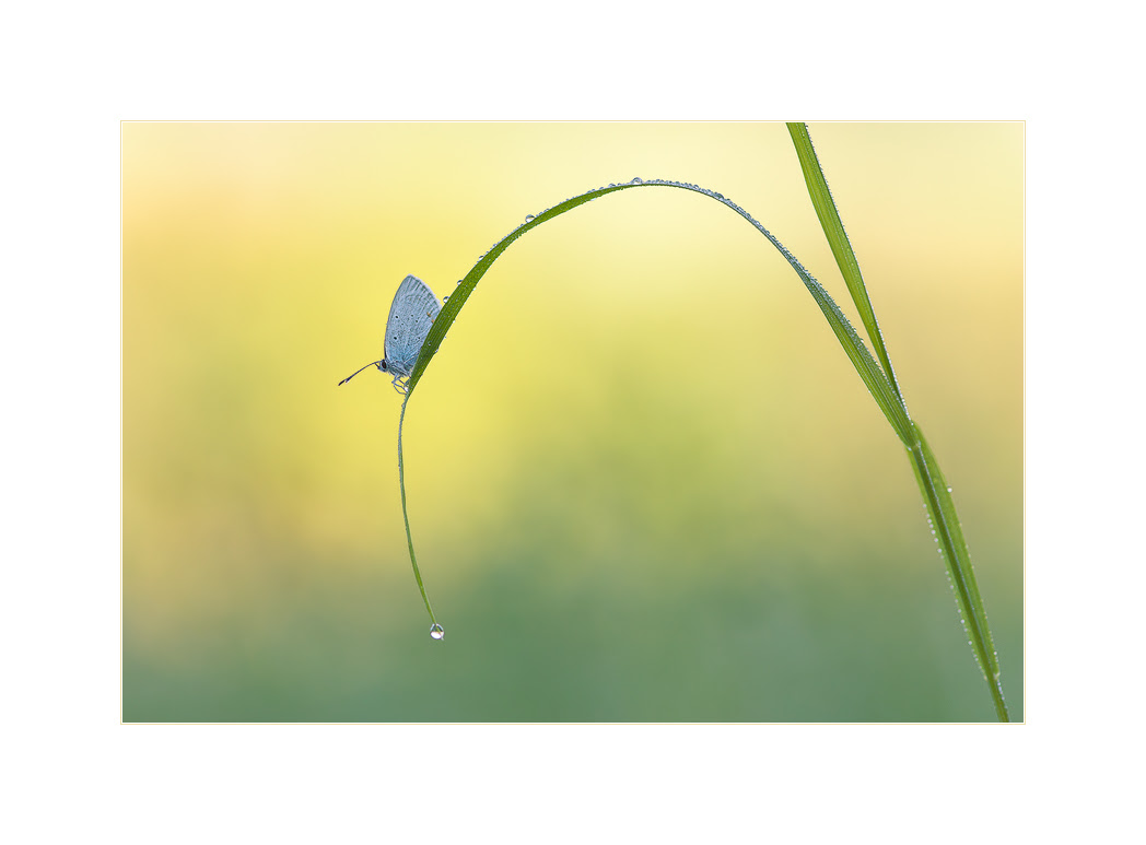 nature photography, view community,