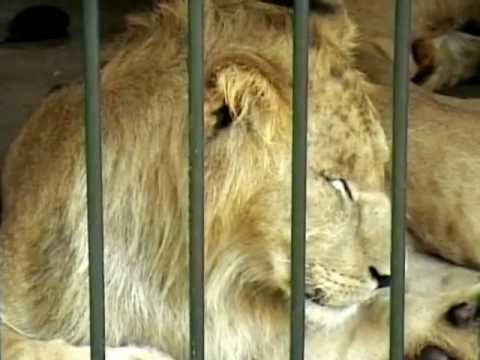 Mawakit Salat Oran : Page 1/10 : All-Searches.com