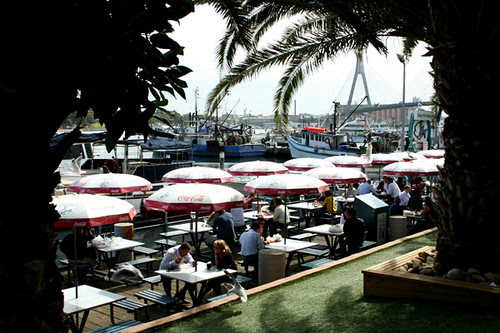 Sydney Fish Market 3