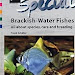 Read E-Book Online AQUALOG Special, Brackish-Water Fishes: All About Species, Care and Breeding 393602782X PDF Ebook online