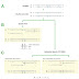 Bisulfite Sequencing Primer Design Tool