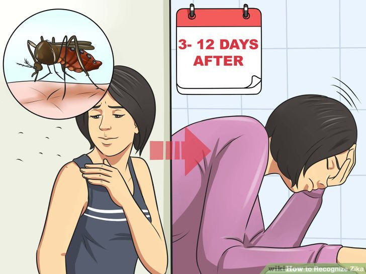 Recognize Zika Step 3.jpg