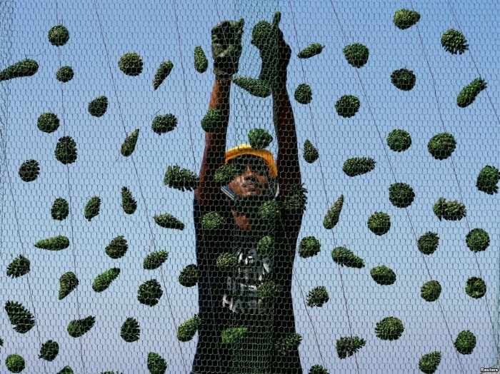 صور من العالم