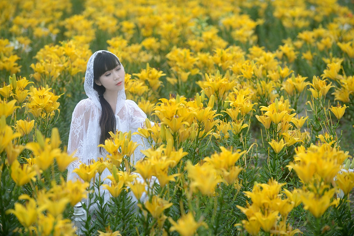 开在田野的百合花