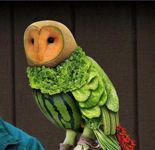 Owl Made of Fruit
