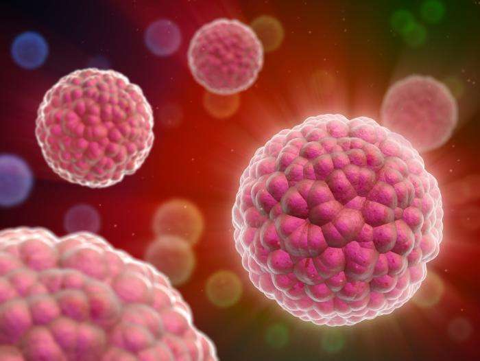 illustration of cancer cells