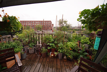 Rooftop Landscaping