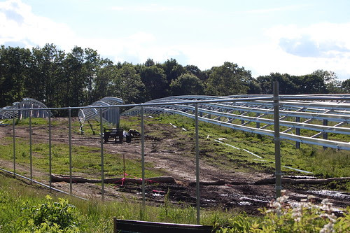 MStMaryAbbey_Solar1