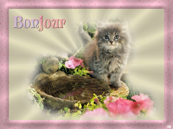 Bonjour : kdo pour vous