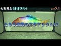 上 アクアリウム 魚 ff14 167885-Ff14 アクアリウム 魚 海��