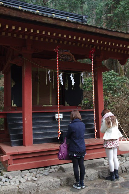0176 - Nikko