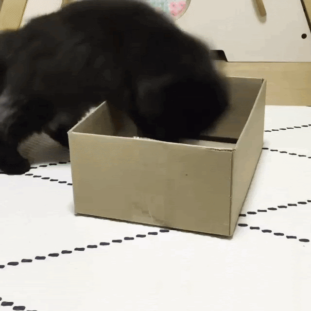 http://fanpage.gr/pictures/2016/03/20.gif