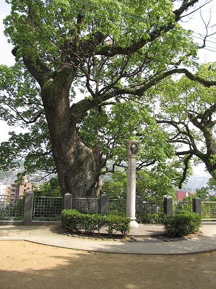 長崎出島ワーフ 昼食 出島史料館 シーボルト記念館 諏訪神社 眼鏡橋 出島ワーフで昼食を取ろうと 出島史料館 を横目に 長崎港の方に向かう 出島ワーフ 前方右手 への橋を渡る 右は長崎港 大波止 出島ワーフ といっても