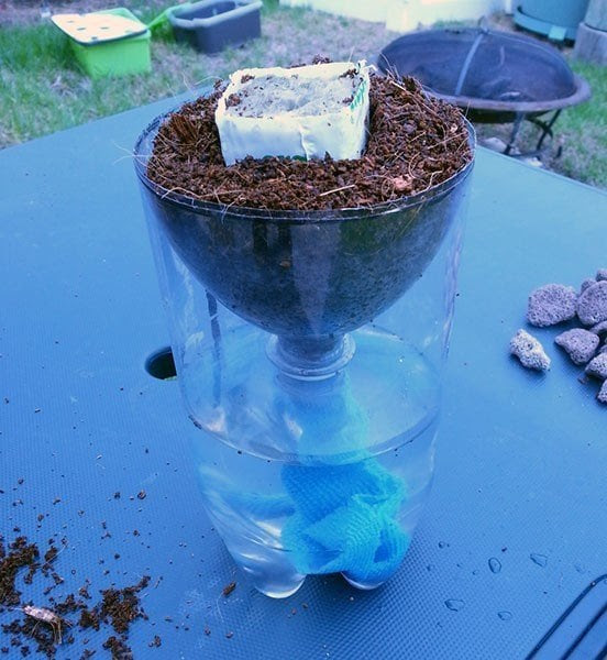 Hydroponics for Kids Build a 2 Liter Bottle Garden Hydroponics for Kids Build a 2 Liter Bottle Garden