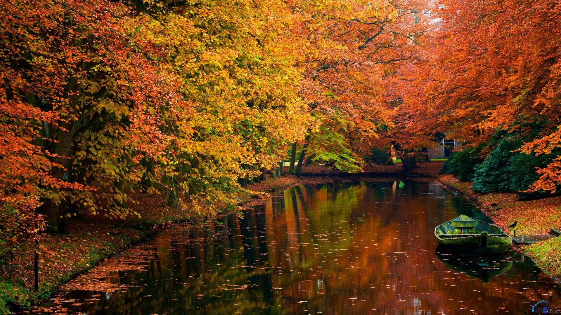 Autumn HD Wallpapers 1080p (76+ images)