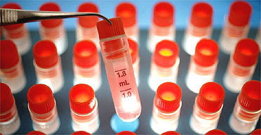 Ampoules containing a medium for stem cell storage