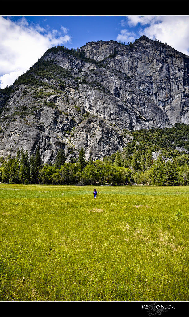 Day 2 -- Yosemite's Meadow