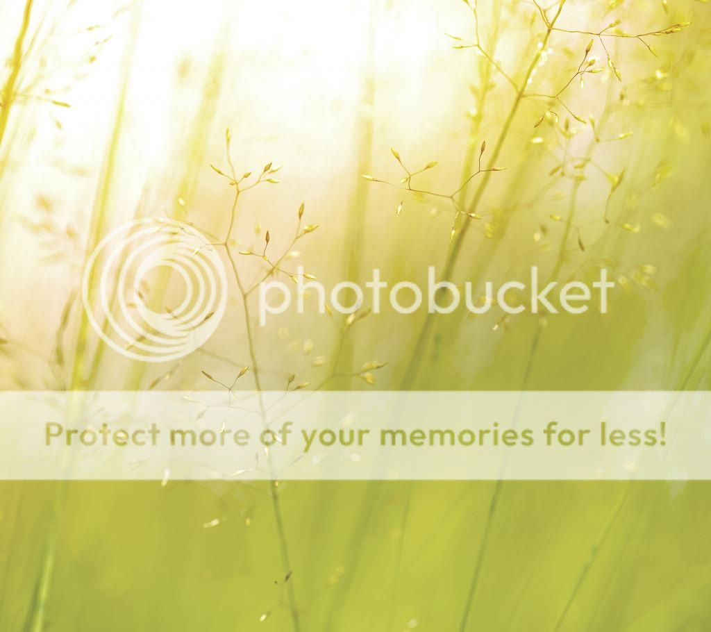 LG G3 wallpapers