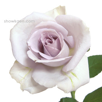 バラ ステンレススチール Flower Note