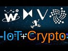 IOTA vs WaltonChain vs VeChain vs Modum vs WaBi --- Fundamental Analysis on top and rising IoT Cryptos