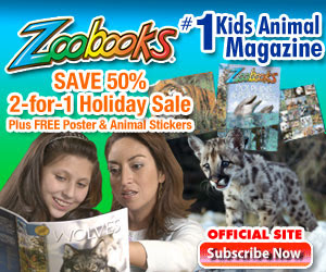 Order ZooBooks Magazine for Kids with Free Gifts