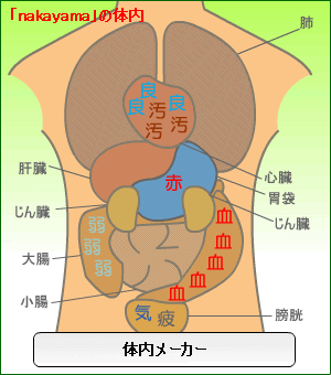 あなたの体の中身は バシャログ