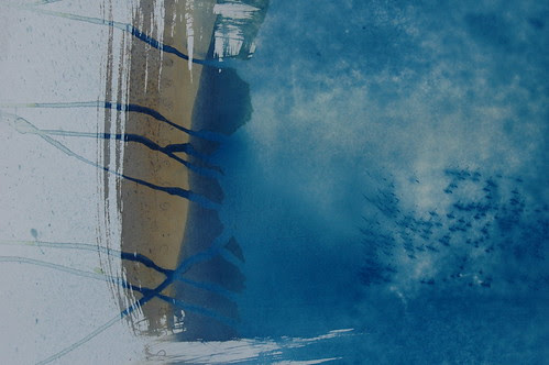 Littoral Zones by Russell Moreton