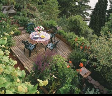 How to Make Your Back Yard More Private