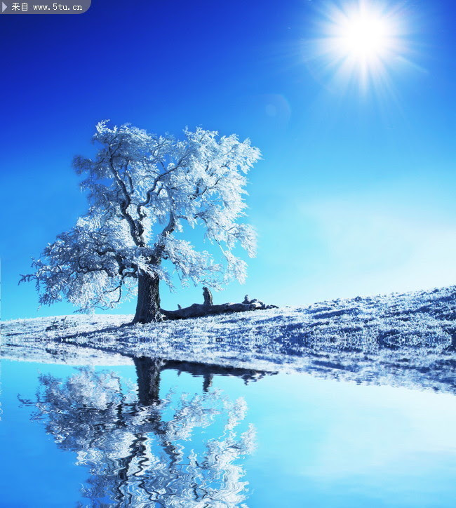 影楼主题背景雪天风景照片 自然风光 百图汇素材网