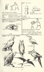 didierdico p152