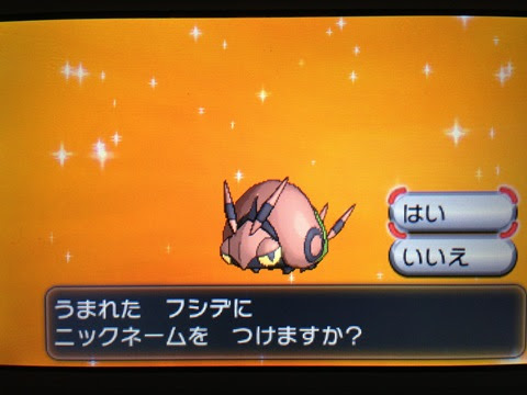 色違いいつ出るんだよ 色フシデ