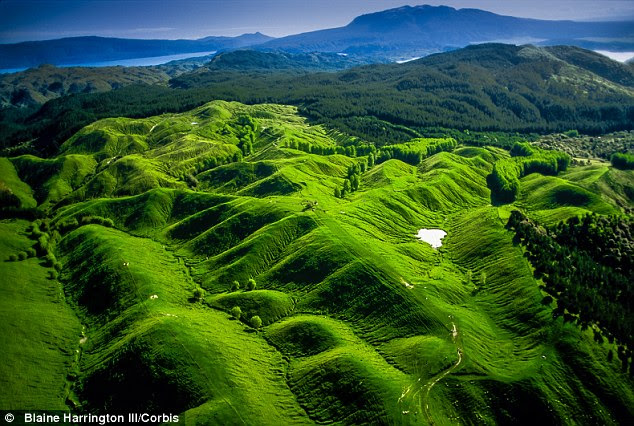 Rotorua, North Island, New Zealand