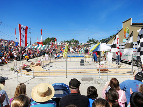 statefair4-0813