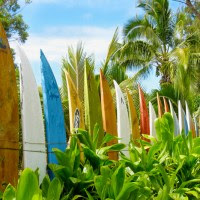 surfboard1