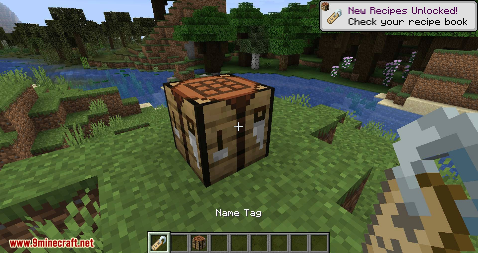 Name Tweaks Mod 1 16 5 1 15 2 Craftable Retrievable Nametag 9minecraft Net