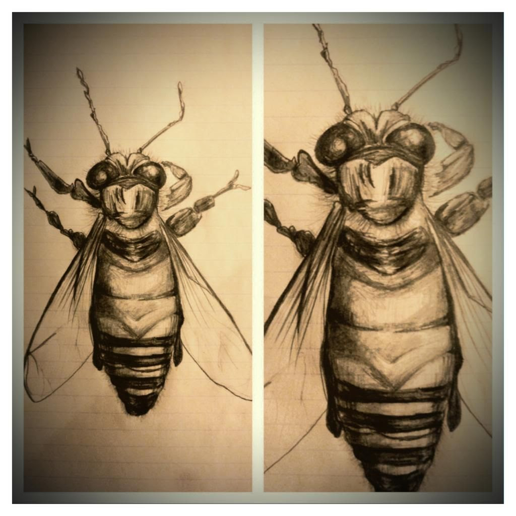  photo bee.jpeg