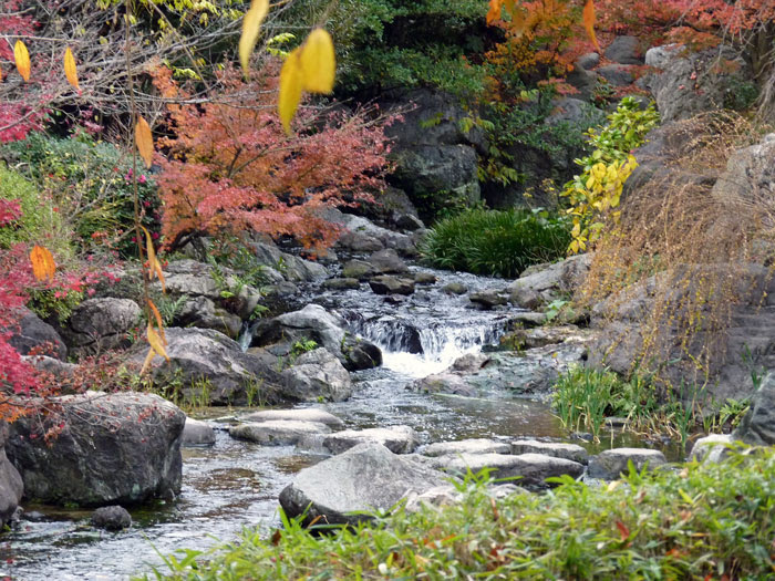 自然の滝と川の風景の写真素材フリー 高画質