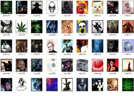 Examples of Computer Avatars