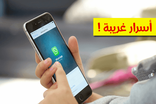 3 أسرار لا تعرف أنه يمكن القيام بها على واتس آب | إكتشفها الأن !