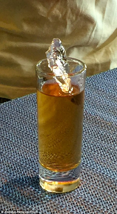 A chunk of Antarctic ice swimming in shot of whiskey