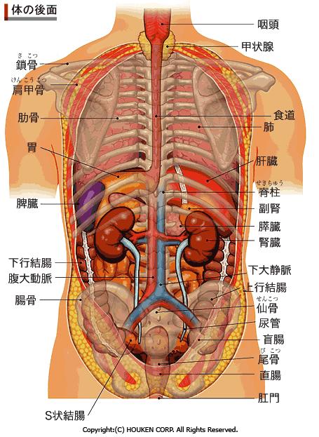 YesseniahtyuiShepard