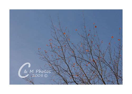 Oct1408_0002ew