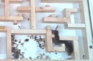 Woodworking for engineers