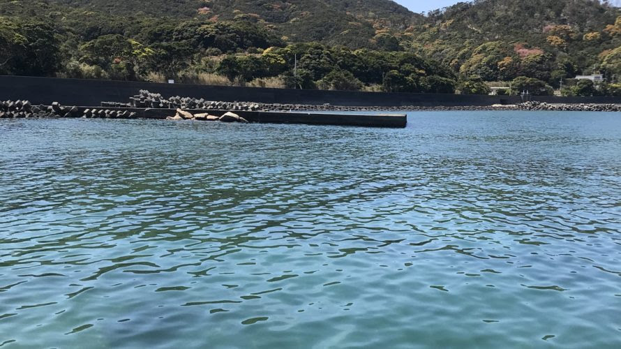 徳島県阿南のエギングオススメポイント 尻杭の堤防の釣り場紹介 穴場春イカや秋イカにオススメのプチ堤防 ヒラマサとアオリイカを求めて